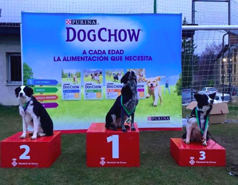 UFO Major Spain (Puigcerdà, Girona), March 21st 2015