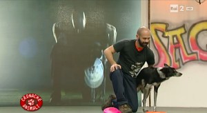 Cronache Animali, Rai2, II