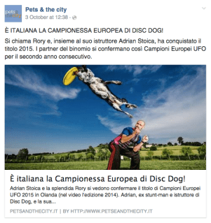 Schermata 2015-10-15 alle 12.59.35