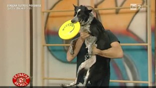 Disc Dog on TV (Rai2)