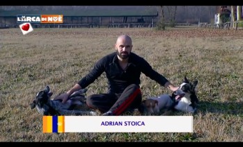 Canale 5, L'Arca di Noè